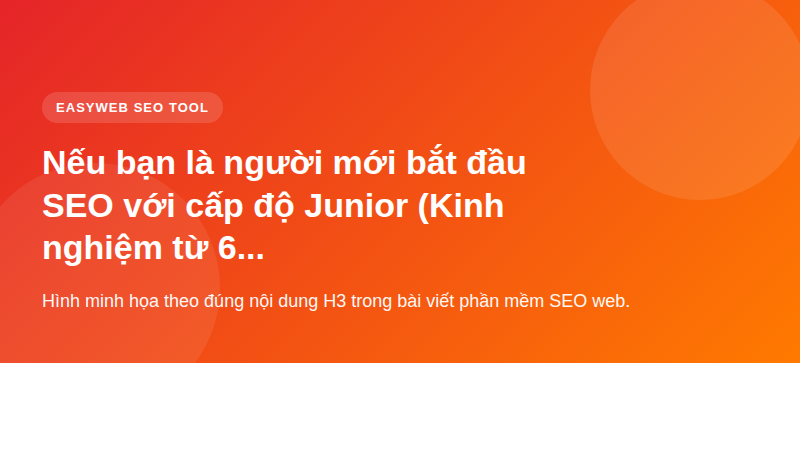Nếu bạn là người mới bắt đầu SEO với cấp độ Junior (Kinh nghiệm từ 6 - 18 tháng) - hình minh họa phần mềm SEO web